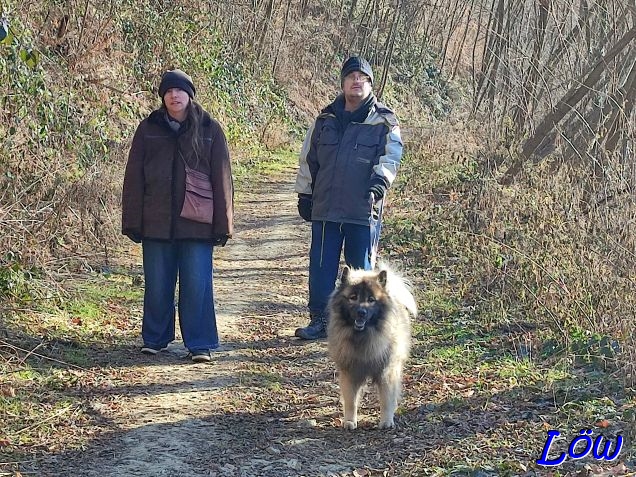 28.12.2024 - Dwix auf dem Madereckerweg